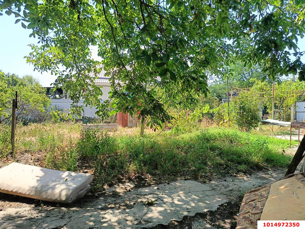 Фото №5: Участок садоводство 6.15 сот. - СНТ 50 лет Октября, Прикубанский внутригородской округ, ул. Зелёная, 85
