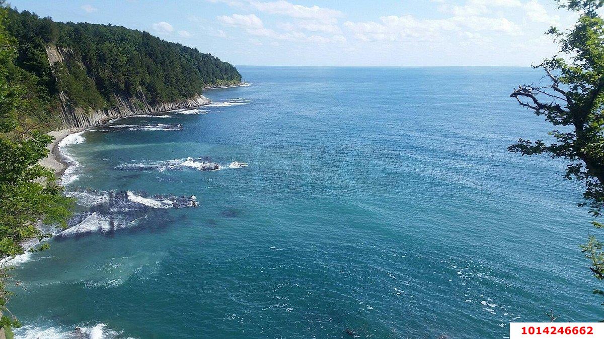 Фото №2: Личное подсобное хозяйство - СТ Байкал, 7