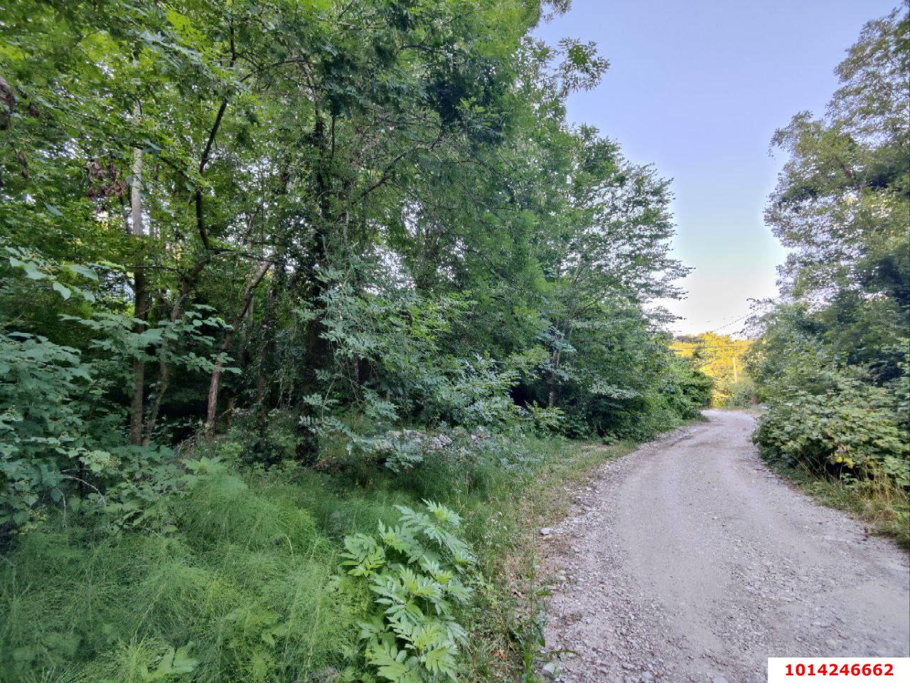 Фото №1: Личное подсобное хозяйство - СТ Байкал, 7