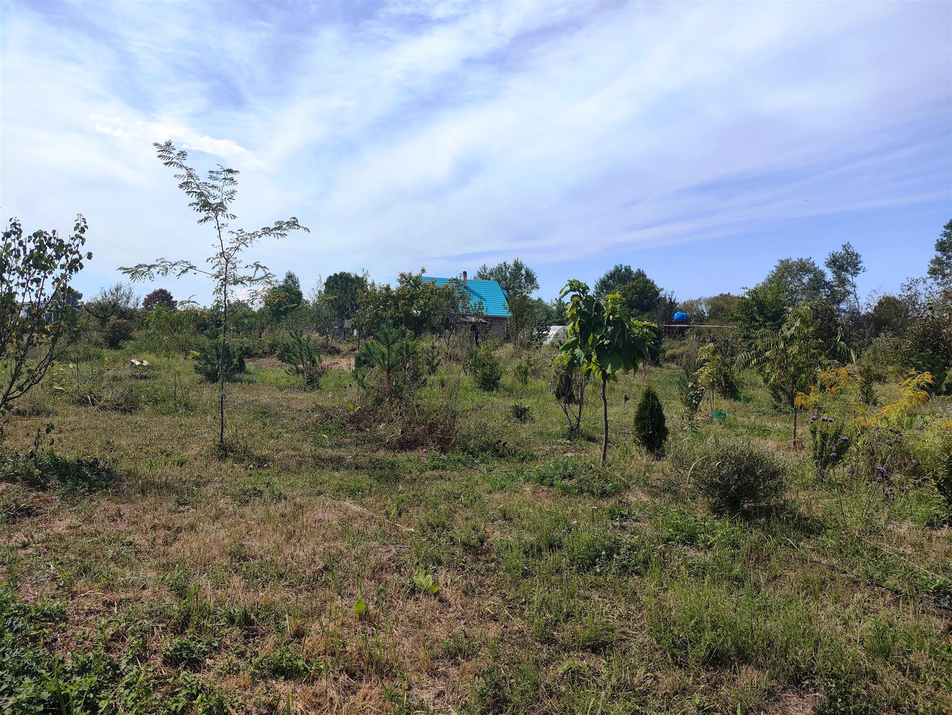 Фото №2: Коммерция 137 м² - Сказочный край, ул. Родниковая, 1