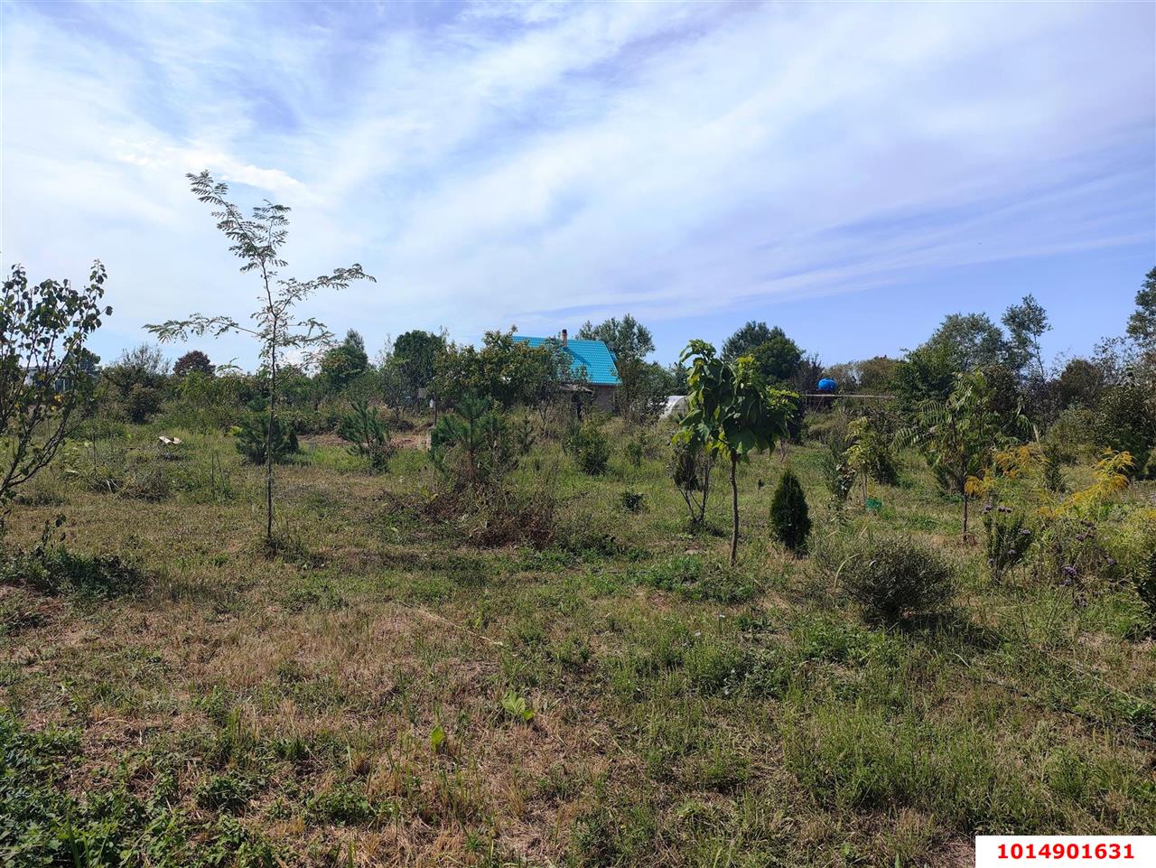 Фото №2: Коммерческая земля 137 сот. - Сказочный край, ул. Родниковая, 1