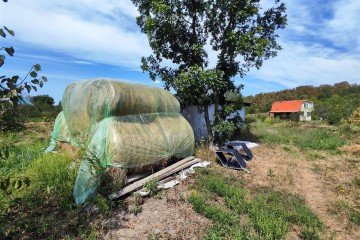 Фото №3: Коммерческая земля 137 сот. - Сказочный край, ул. Родниковая, 1