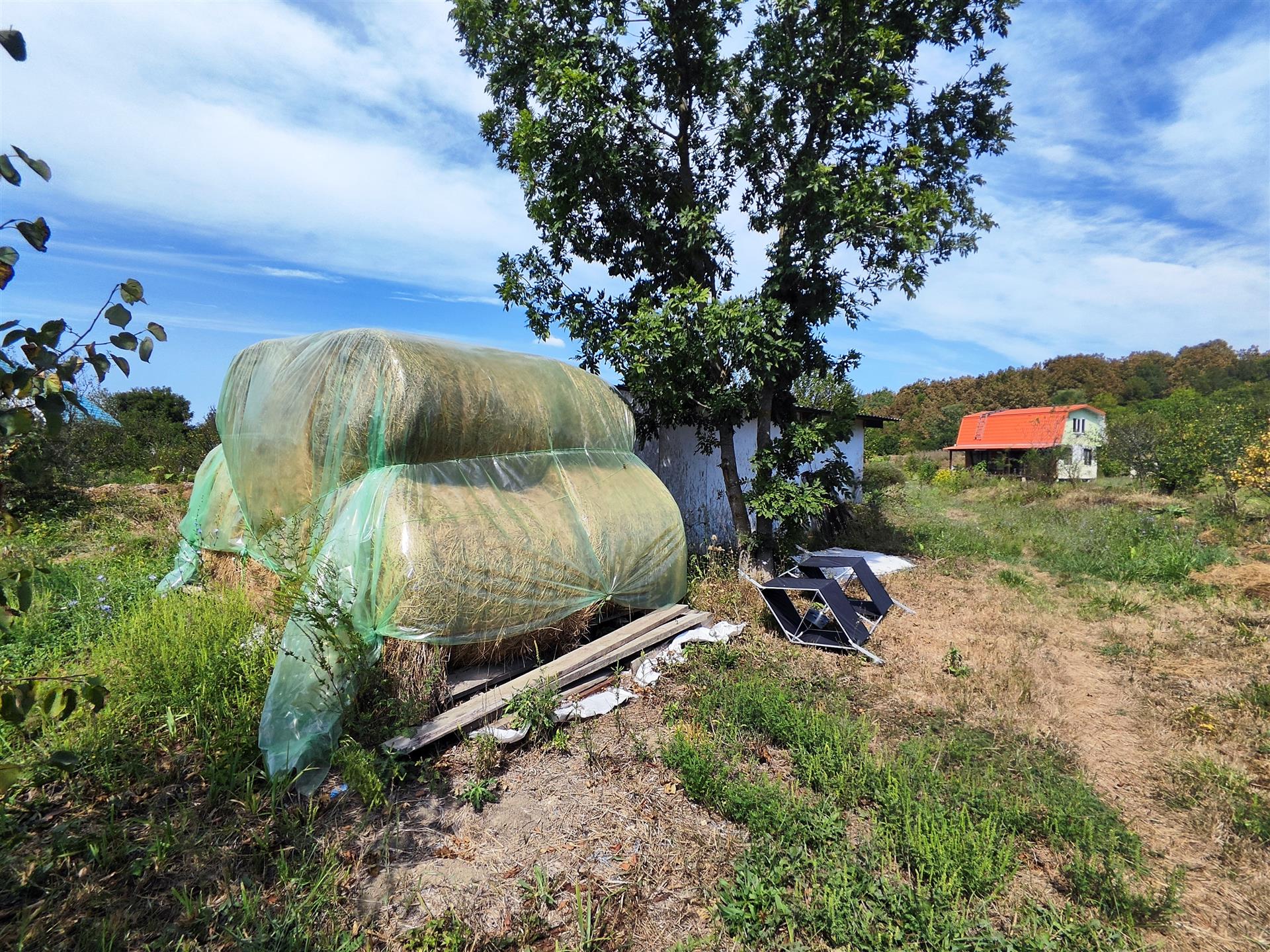 Фото №3: Коммерция 137 м² - Сказочный край, ул. Родниковая, 1