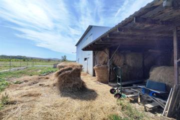 Фото №4: Коммерция 137 м² - Сказочный край, ул. Родниковая, 1