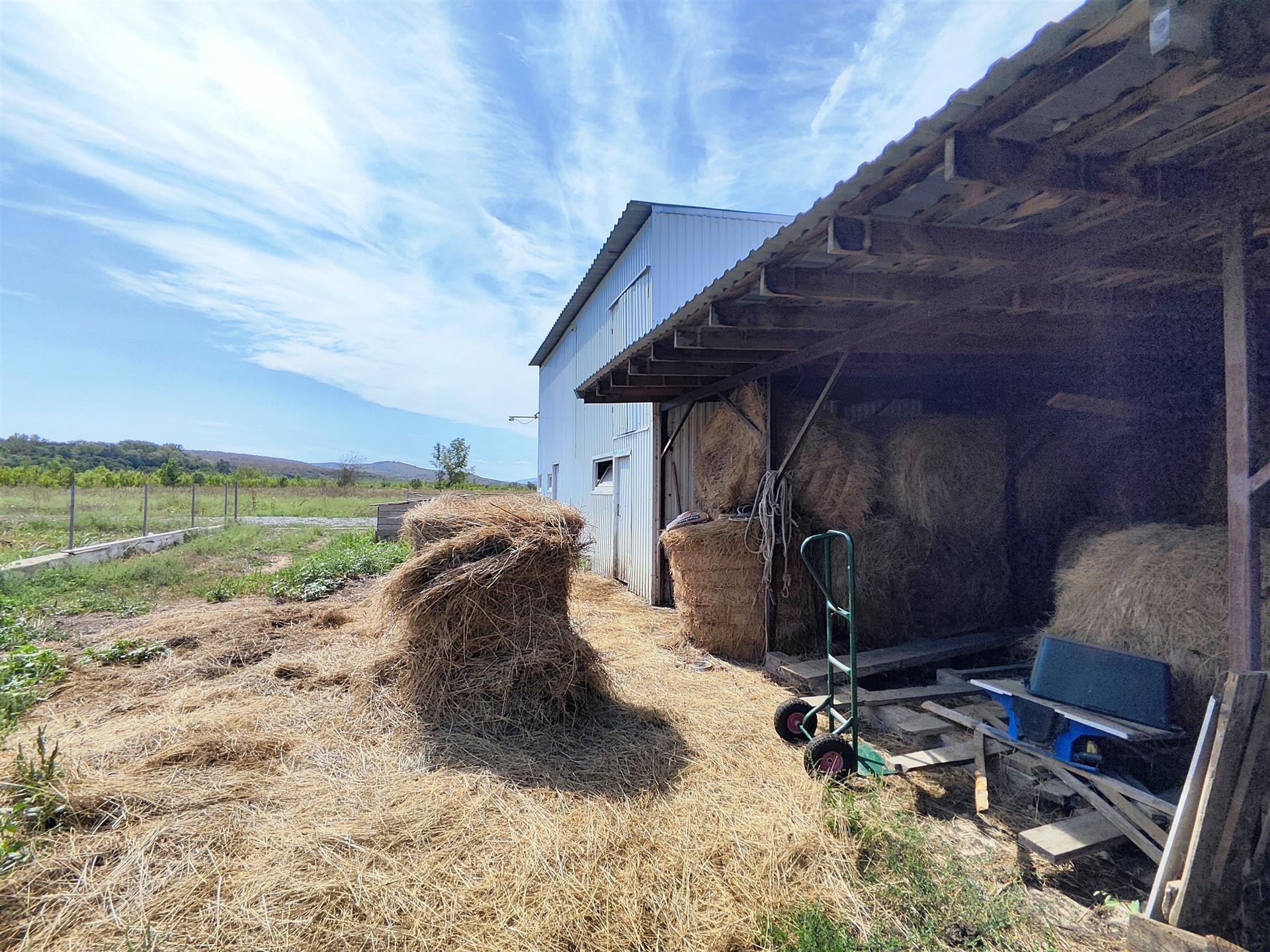 Фото №4: Коммерция 137 м² - Сказочный край, ул. Родниковая, 1