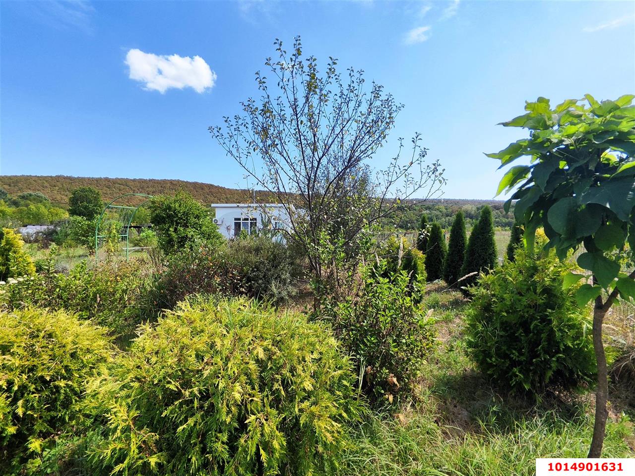 Фото №7: Коммерческая земля 137 сот. - Сказочный край, ул. Родниковая, 1