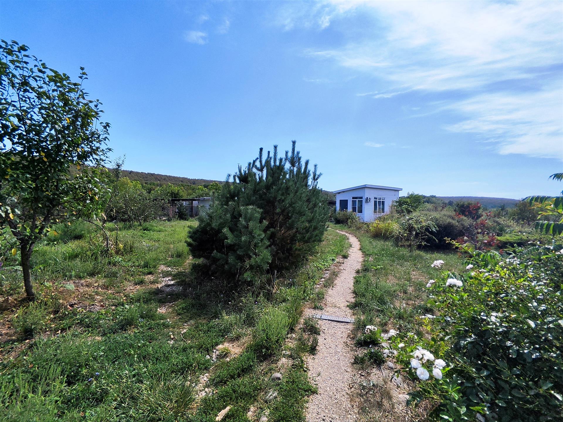 Фото №11: Коммерция 137 м² - Сказочный край, ул. Родниковая, 1