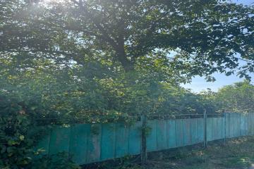 Фото №5: Земельный участок 4.15 сот. - с/т Юбилейное, мкр. Прикубанский внутригородской округ, ул. Дружбы