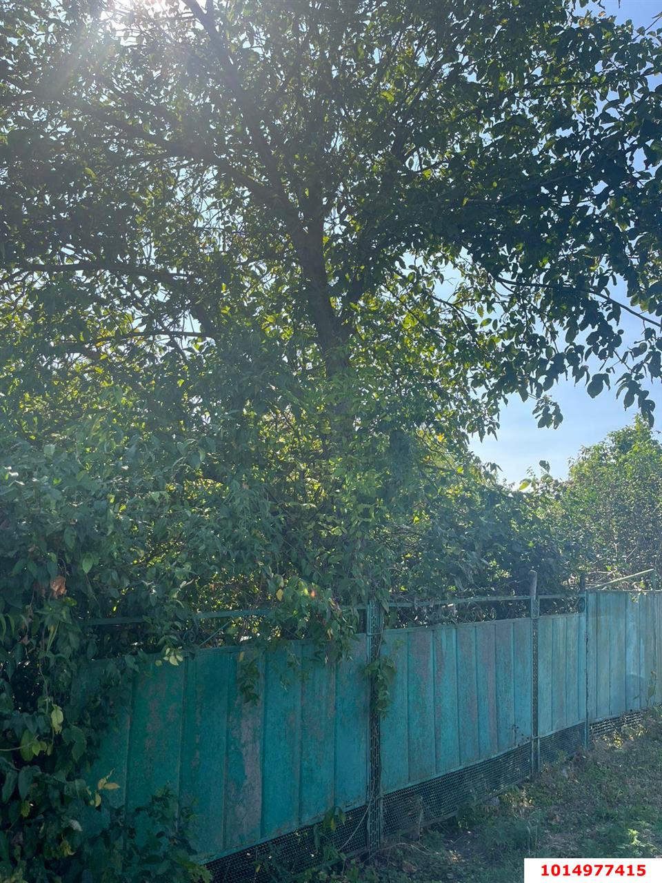 Фото №4: Участок садоводство 4.15 сот. - с/т Юбилейное, Прикубанский внутригородской округ, ул. Дружбы