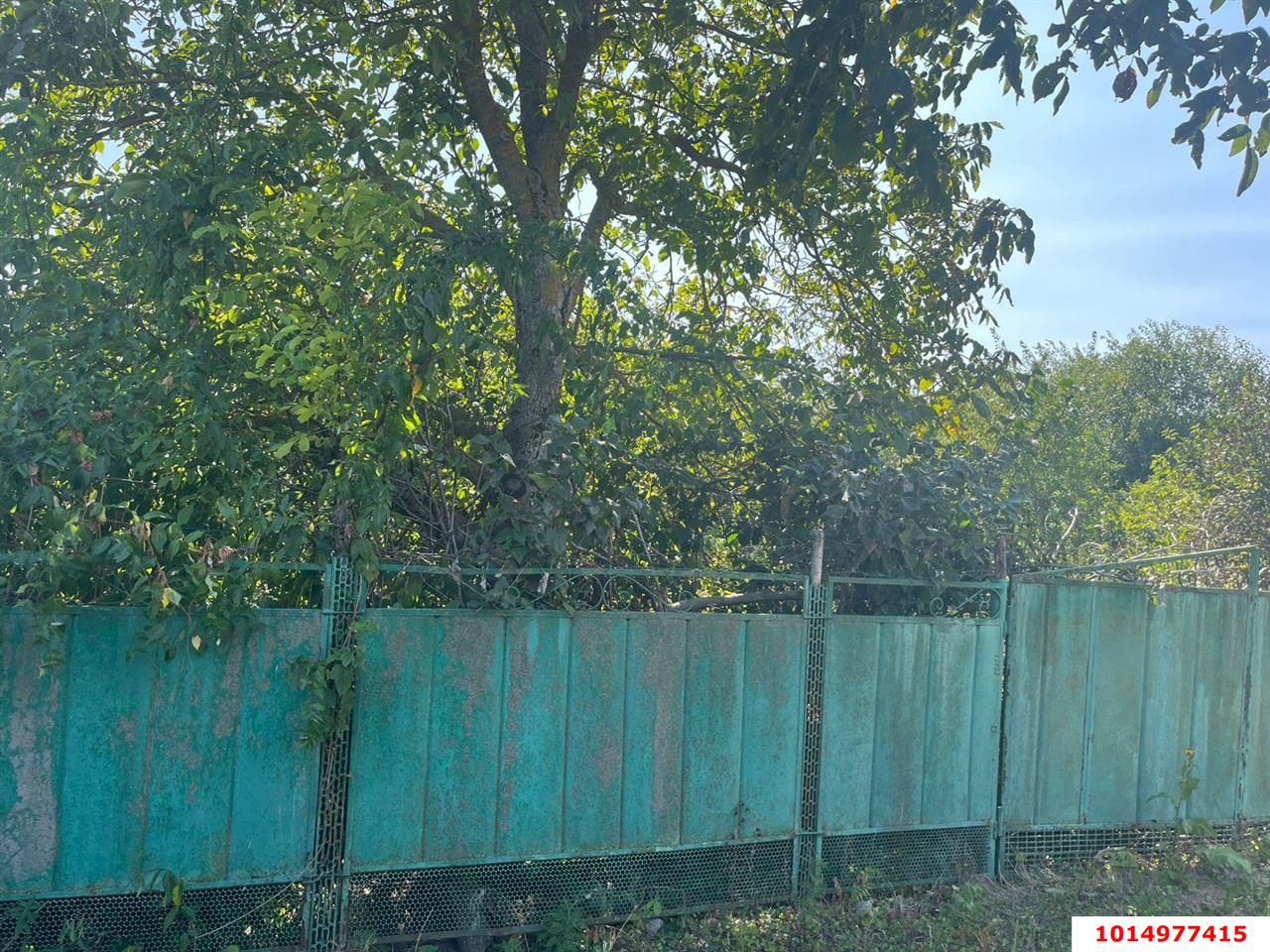 Фото №5: Участок садоводство 4.15 сот. - с/т Юбилейное, Прикубанский внутригородской округ, ул. Дружбы