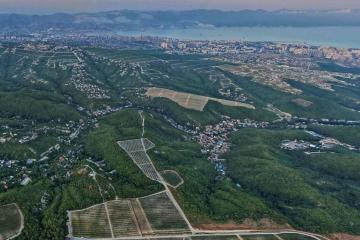 Фото №5: Земельный участок 7 сот. - СНТ Рыбак, ул. Лучистая, 17