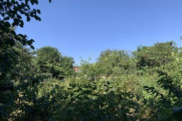 Фото №5: Земельный участок 10 сот. - Черников, мкр. Прикубанский внутригородской округ, ул. Центральная, 13