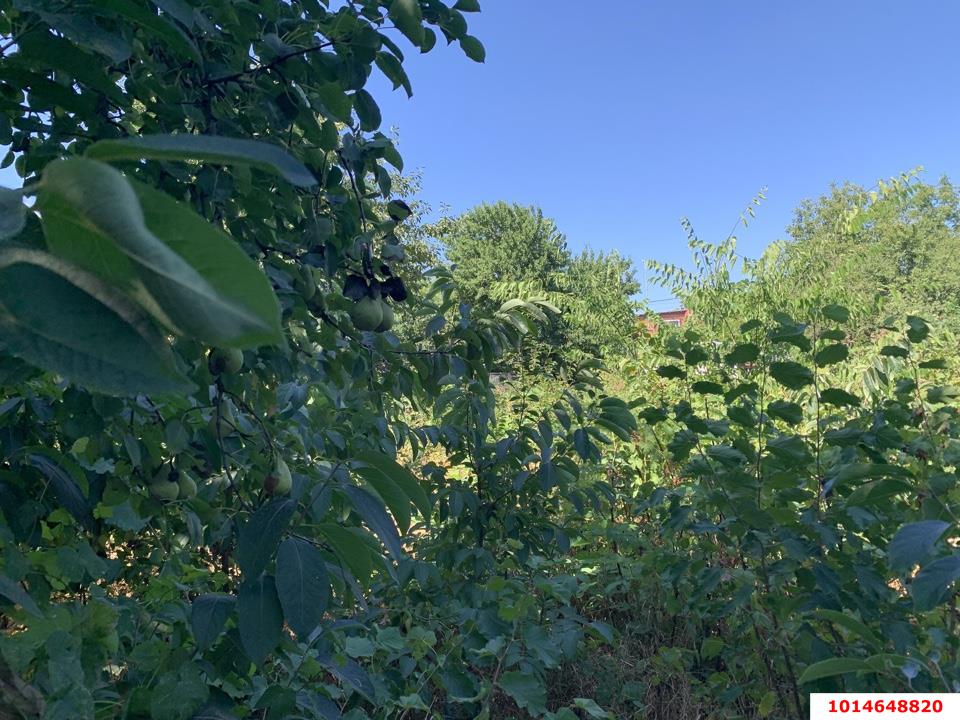 Фото №2: Участок садоводство 10 сот. - Черников, Прикубанский внутригородской округ, ул. Центральная, 13