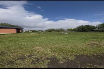 Фото №1: Земельный участок 4.2 сот. - Тимашевск, мкр. Индустриальный, пер. 2-й Осенний, 1