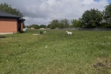 Фото №1: Земельный участок под ИЖС 4.2 сот. - Тимашевск, мкр. Индустриальный, пер. 2-й Осенний, 1