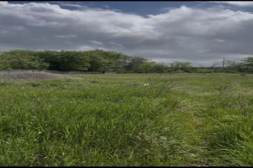 Фото №3: Земельный участок 4 сот. - Тимашевск, мкр. Индустриальный, пер. 2-й Осенний, 1