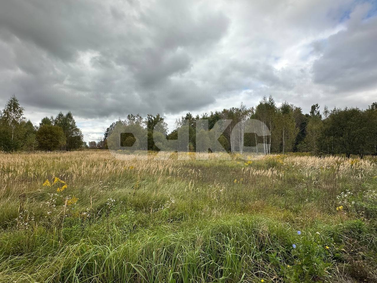 Фото №3: Земельный участок под ИЖС 25 сот. - Алёшня, Привокзальный территориальный округ, ул. Луговая