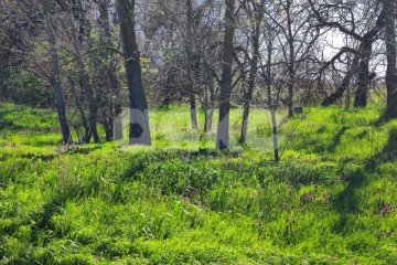 Фото №5: Земельный участок под ИЖС - Мокрый Батай, ул. Зелёная