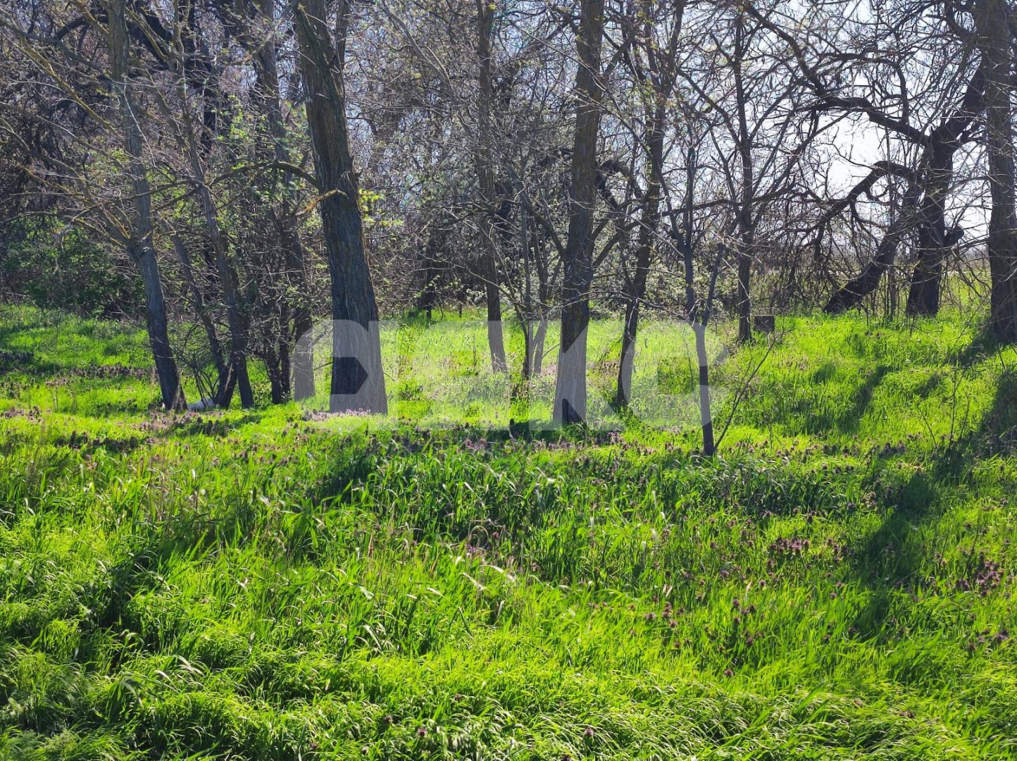 Фото №5: Земельный участок под ИЖС 6.18 сот. - Мокрый Батай, ул. Зелёная