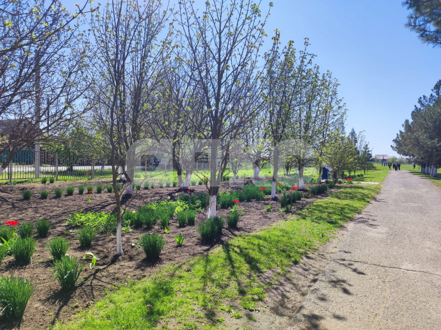 Фото №8: Земельный участок под ИЖС 6.18 сот. - Мокрый Батай, ул. Светлая