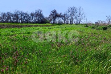 Фото №1: Земельный участок под ИЖС - Мокрый Батай, ул. Светлая