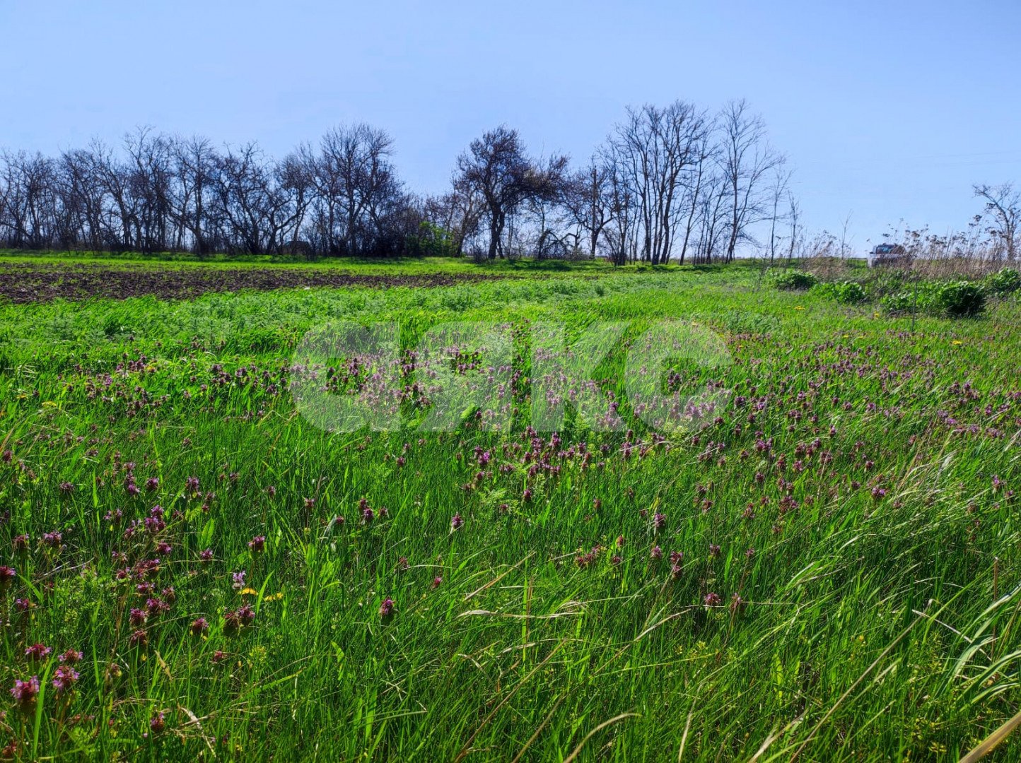 Фото №1: Земельный участок под ИЖС 6.18 сот. - Мокрый Батай, ул. Светлая