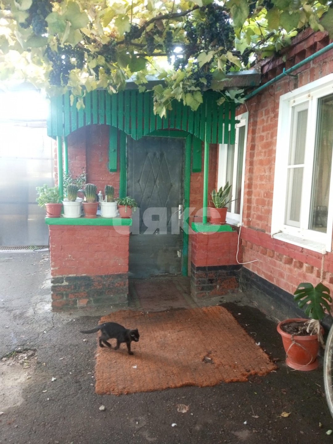 Фото №10: Дом 48 м² + 20 сот. - Бесскорбная, ул. Ленина