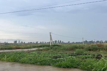 Фото №3: Земельный участок 5.8 сот. - садовые участки Лесное, ул. Грушовая, 41