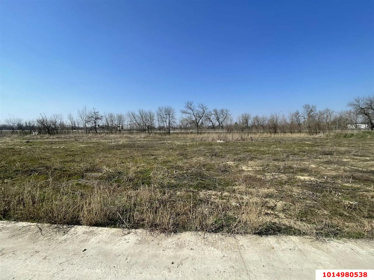 Фото №7: Личное подсобное хозяйство - садовые участки Лесное, ул. Грушовая, 41