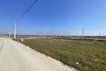 Фото №5: Личное подсобное хозяйство - садовые участки Лесное, ул. Грушовая, 41