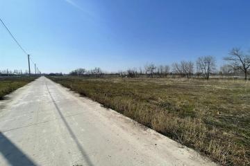 Фото №4: Личное подсобное хозяйство - садовые участки Лесное, ул. Грушовая, 41