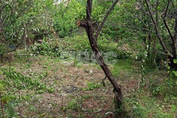 Фото №5: Участок садоводство - Сочи, счт Отдых, 5