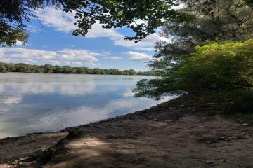 Фото №3: Земельный участок 6 сот. - Елизаветинская, ст Речник, ул. Кормовая, 787