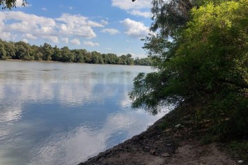 Фото №3: Участок садоводство 6 сот. - Елизаветинская, ст Речник, ул. Кормовая, 787