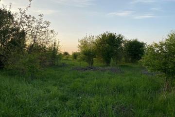 Фото №4: Коммерция 6 м² - Ильский, ул. Шевченко