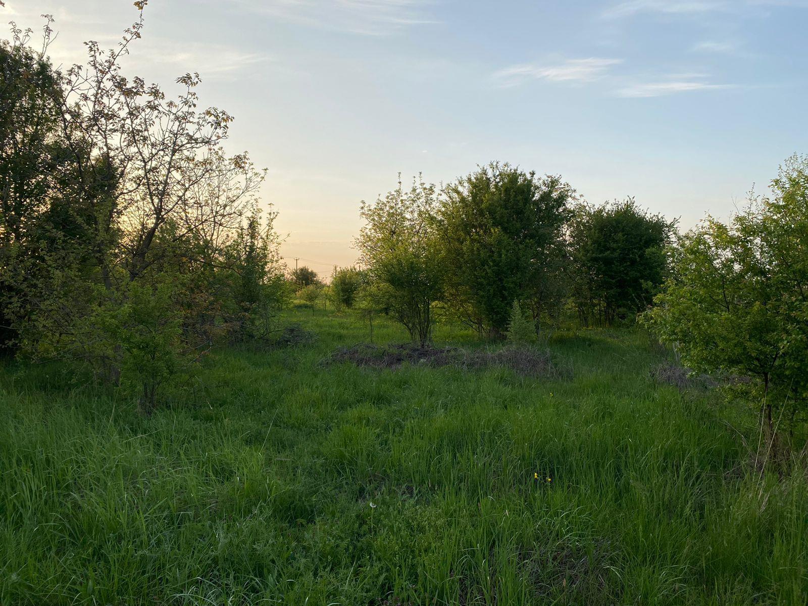 Фото №4: Коммерция 6 м² - Ильский, ул. Шевченко