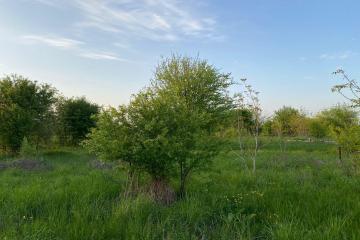 Фото №2: Коммерция 6 м² - Ильский, ул. Шевченко