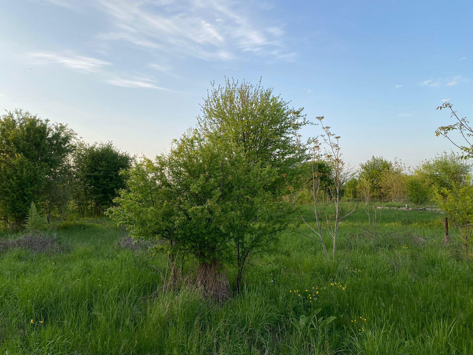 Фото №2: Коммерция 6 м² - Ильский, ул. Шевченко