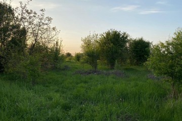 Фото №4: Коммерческая земля 6 сот. - Ильский, ул. Шевченко