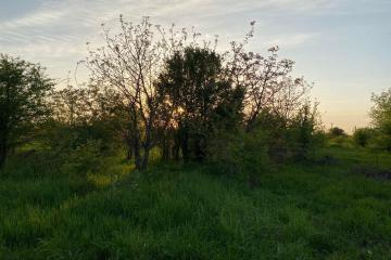 Фото №3: Коммерция 6 м² - Ильский, ул. Шевченко