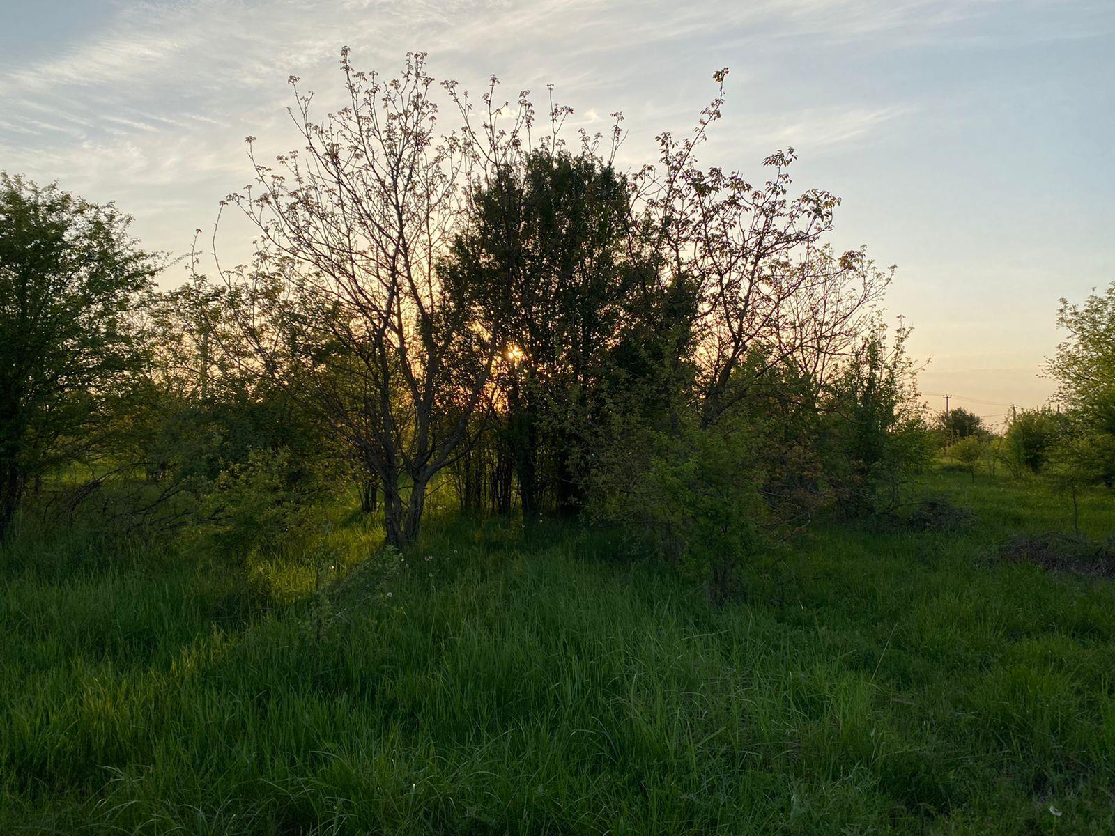 Фото №3: Коммерция 6 м² - Ильский, ул. Шевченко