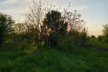 Фото №3: Коммерческая земля 6 сот. - Ильский, ул. Шевченко