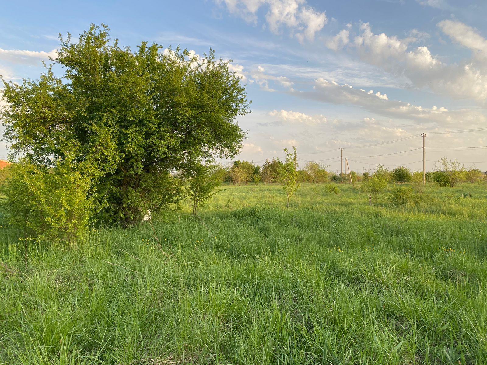 Фото №1: Коммерция 6 м² - Ильский, ул. Шевченко