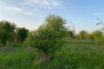 Фото №2: Коммерческая земля 6 сот. - Ильский, ул. Шевченко