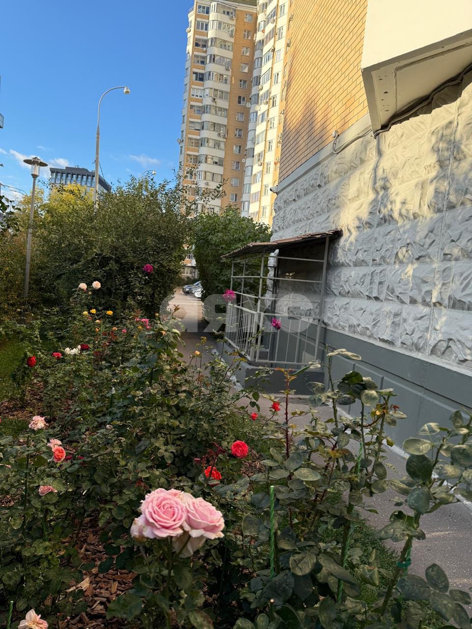 Фото №17: 1-комнатная квартира 37 м² - Москва, Матвеевское, ул. Матвеевская, 36