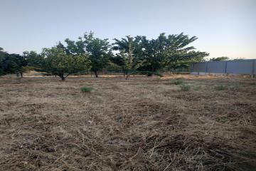 Фото №3: Земельный участок 10.03 сот. - Лазурный, мкр. Прикубанский внутригородской округ, ул. Черноморская, 40