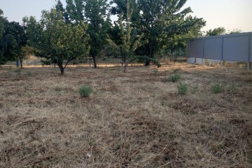 Фото №3: Участок садоводство 10.03 сот. - Лазурный, мкр. Прикубанский внутригородской округ, ул. Черноморская, 40