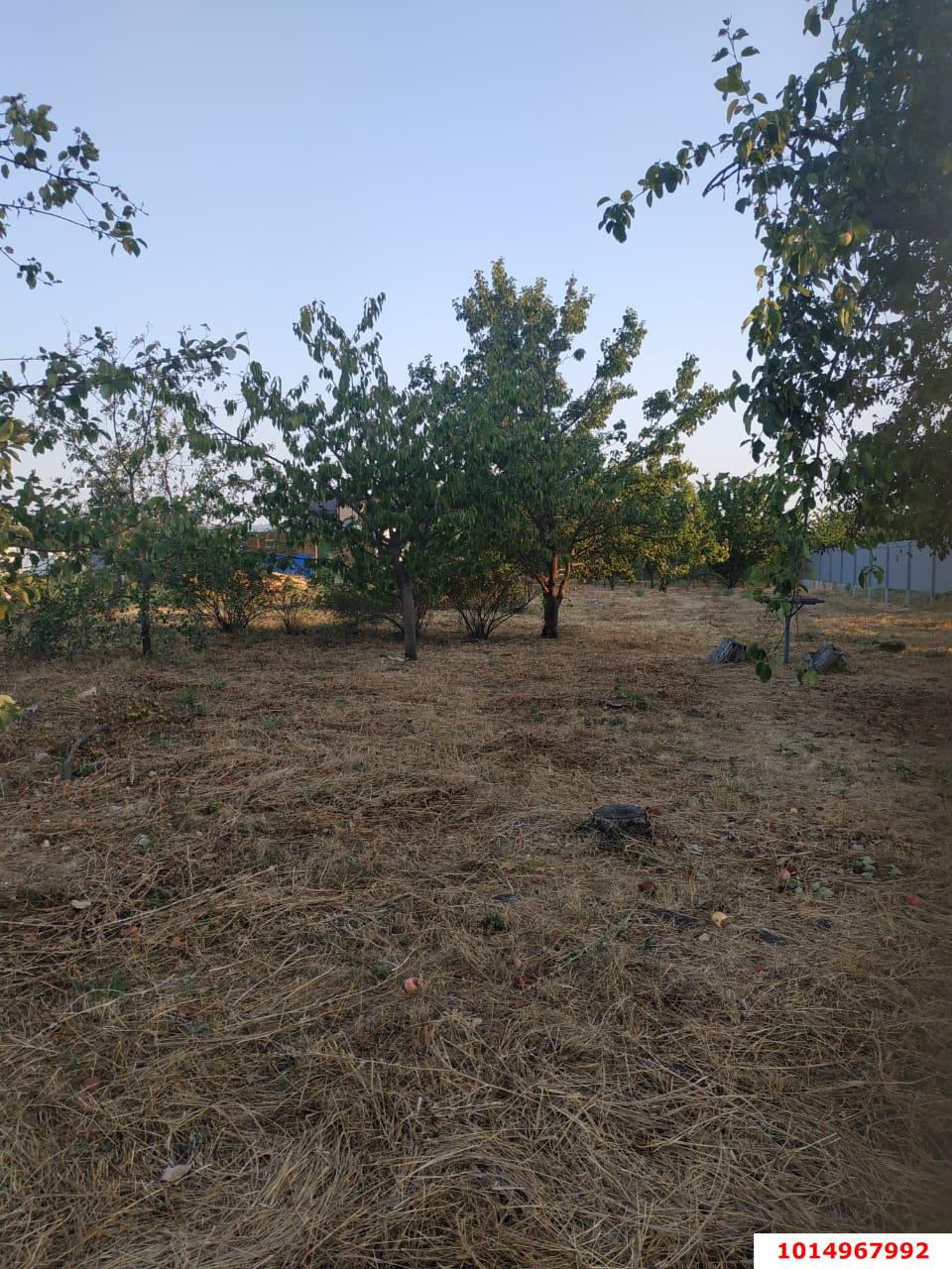 Фото №6: Земельный участок 10.03 сот. - Лазурный, мкр. Прикубанский внутригородской округ, ул. Черноморская, 40