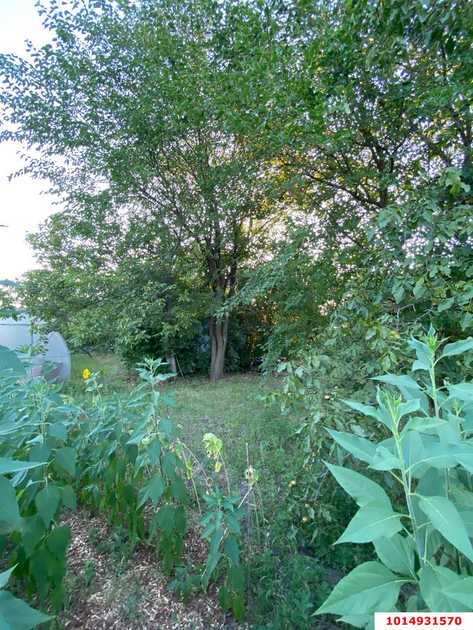 Фото №3: Участок садоводство 15.8 сот. - Октябрьский, Тополь, ул. Луговая, 37