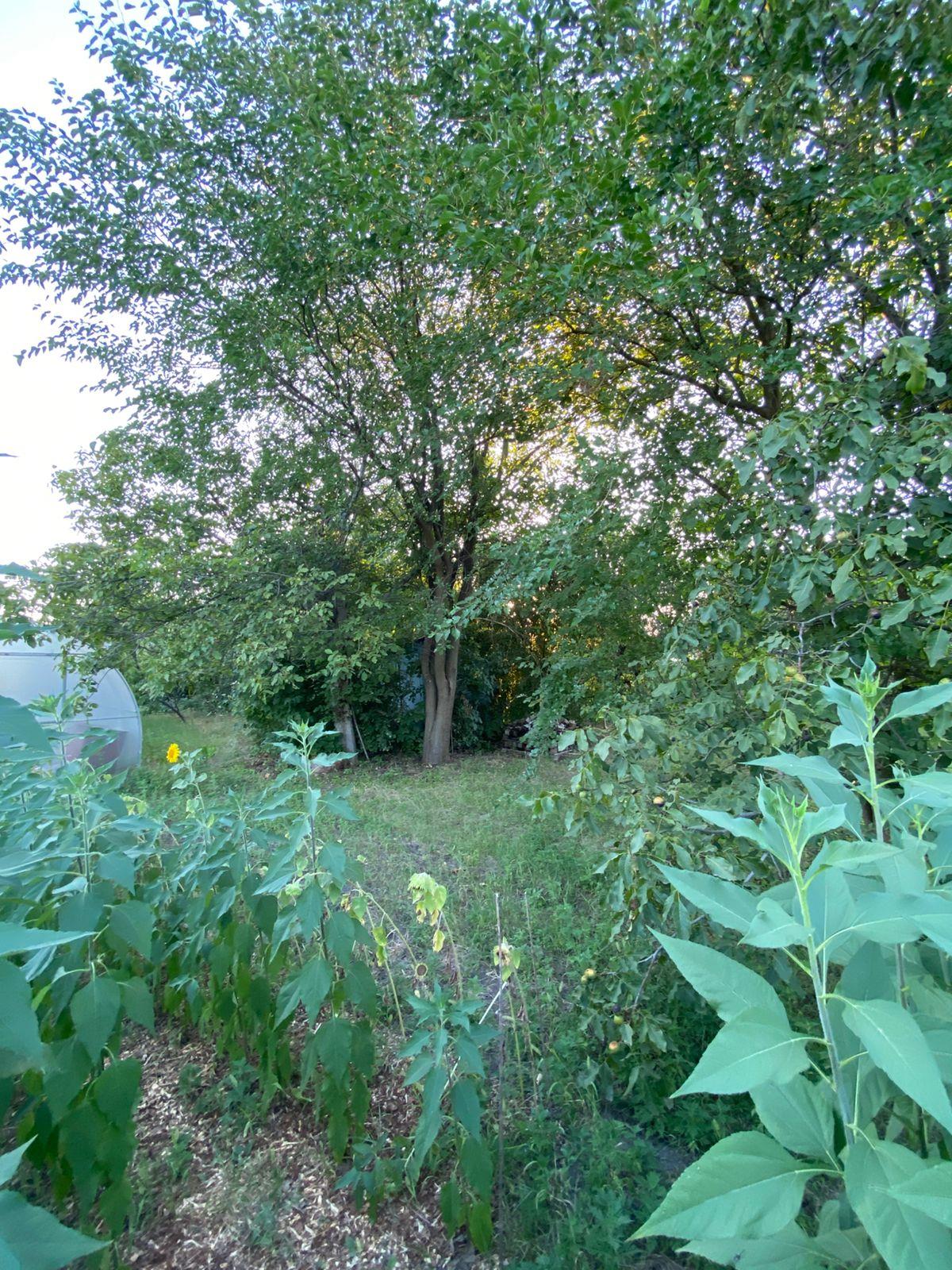 Фото №3: Дом 80 м² + 16 сот. - Октябрьский, Прикубанский внутригородской округ, ст Тополь, ул. Луговая, 37